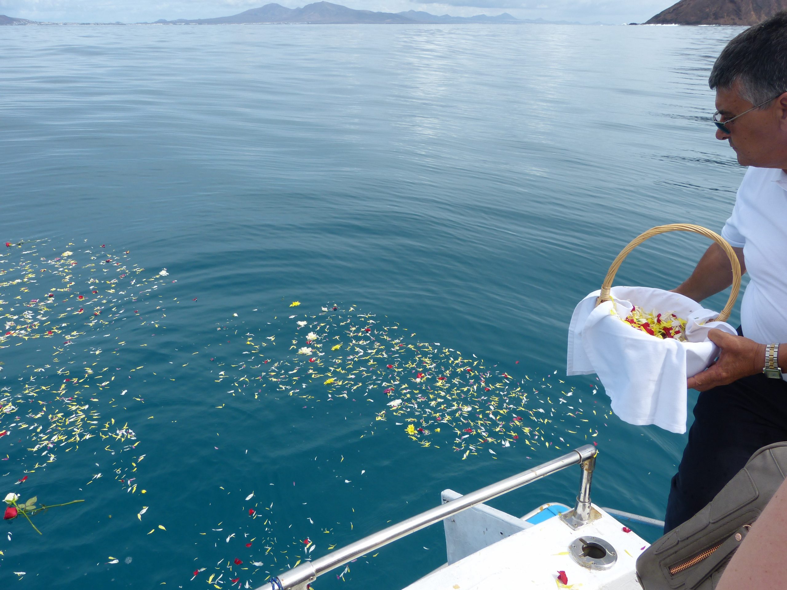 Eine Person streut nach einer Seebestattung Blütenblätter vom Schiff auf das Meer.